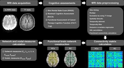 Associations between disrupted functional brain network topology and cognitive impairment in patients with rectal cancer during chemotherapy